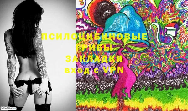 ECSTASY Абаза
